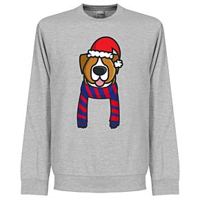 Christmas Dog Supporter KIDS Sweatshirt - (Grey/Blue/Red)
